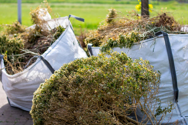 Best Recycling Services for Junk  in Dublin, GA