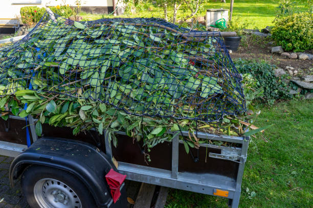 Best Same-Day Junk Removal Services  in Dublin, GA